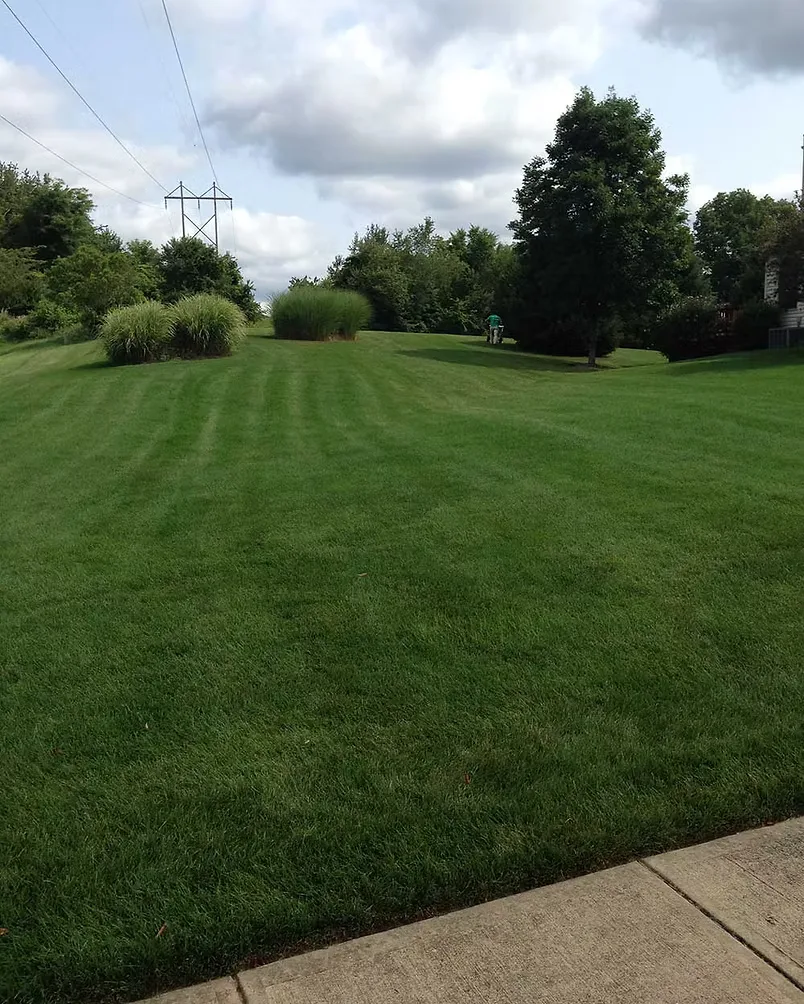 A thick, evenly striped lawn on the GreenProLawn route in Huron Township