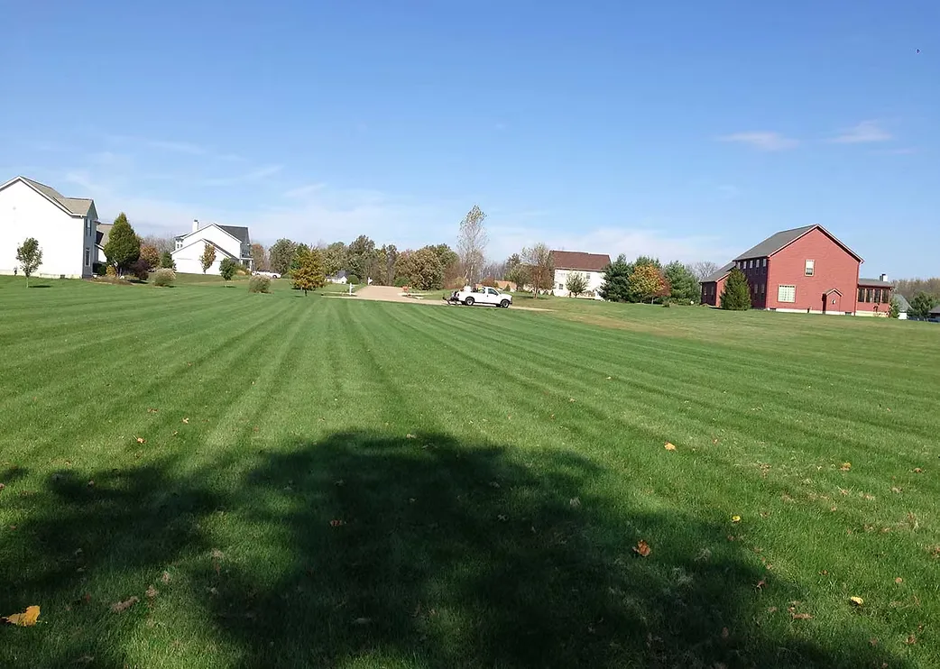 An open neighborhood lawn cleared and cut under autumn trees