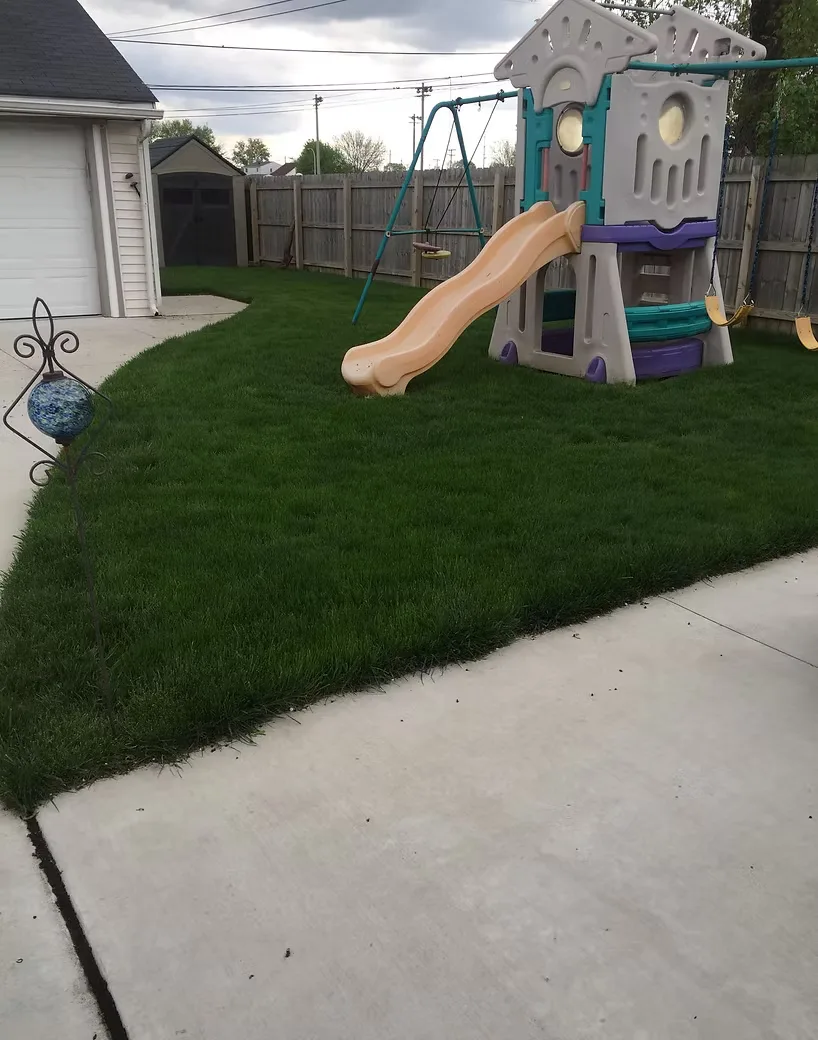 A back lawn beside a play set, treated so the yard stays usable