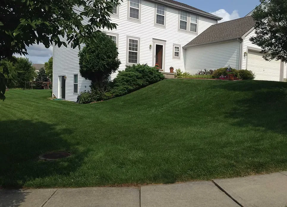 A front lawn running up to the house past mature trees and shrubs